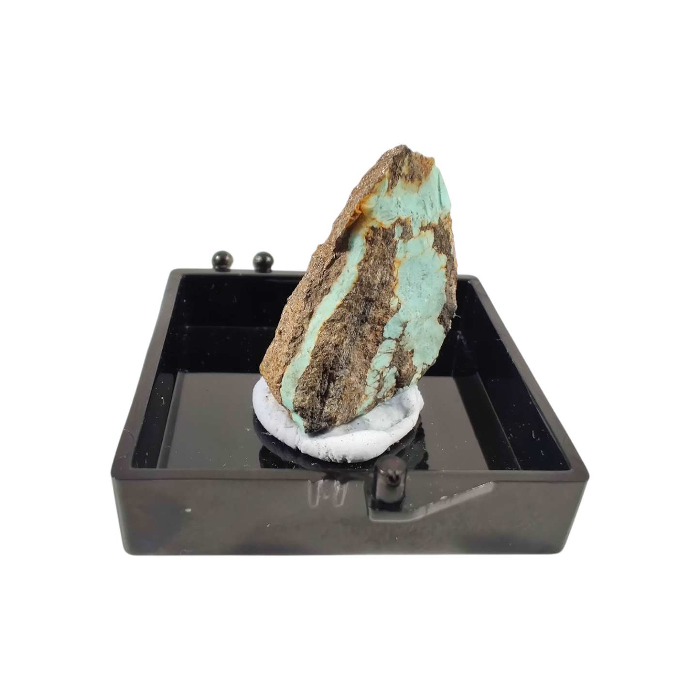 Turquoise specimen terrarium image 0