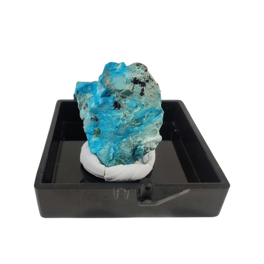 Congo chrysocolla specimen terrarium image 0