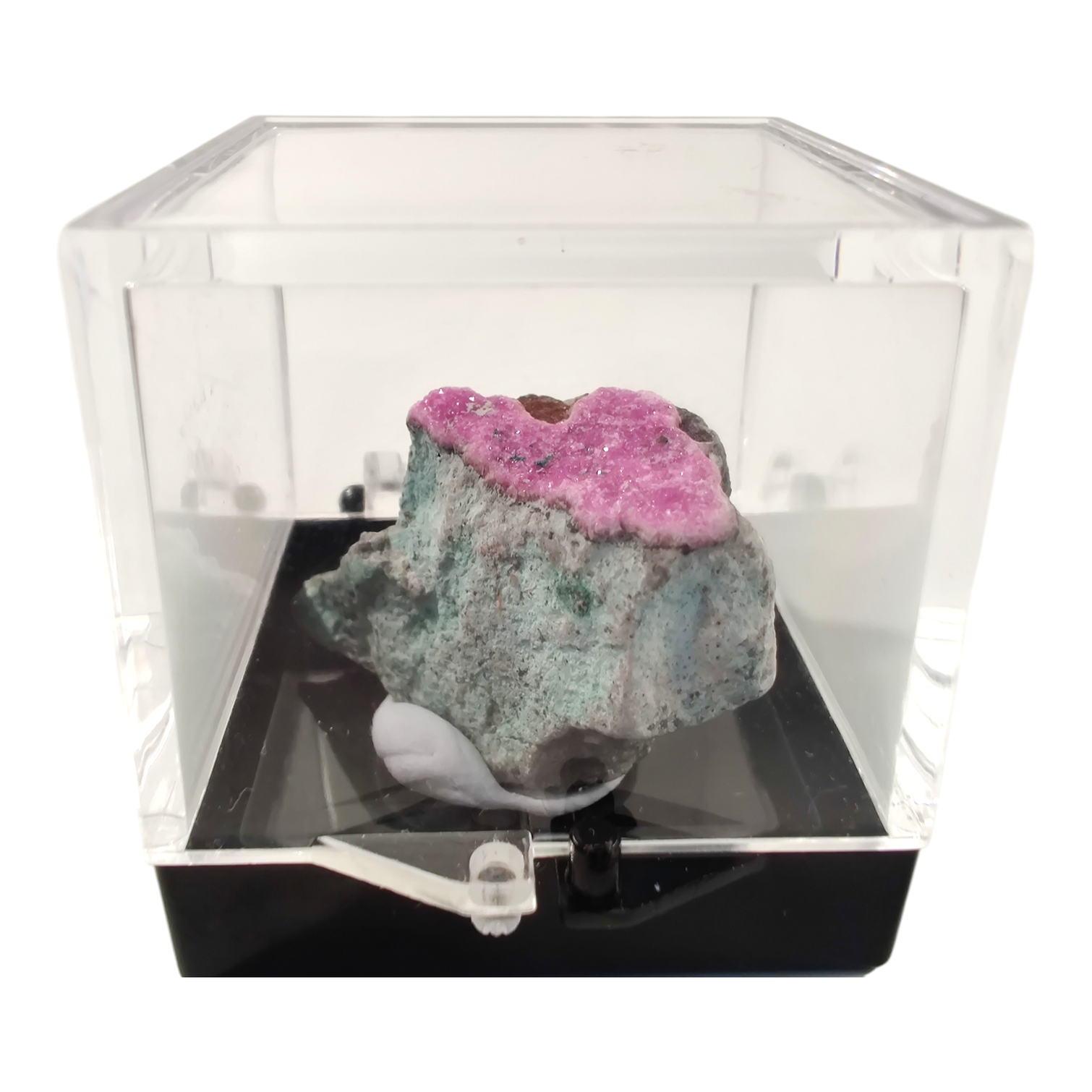 Cobaltoan calcite specimen terrarium image 1