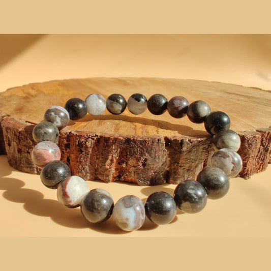 Mexican zebra jasper and orthoceras fossil stretch bracelet image 0