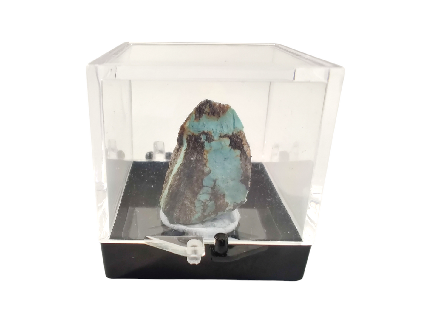 Turquoise specimen terrarium image 2