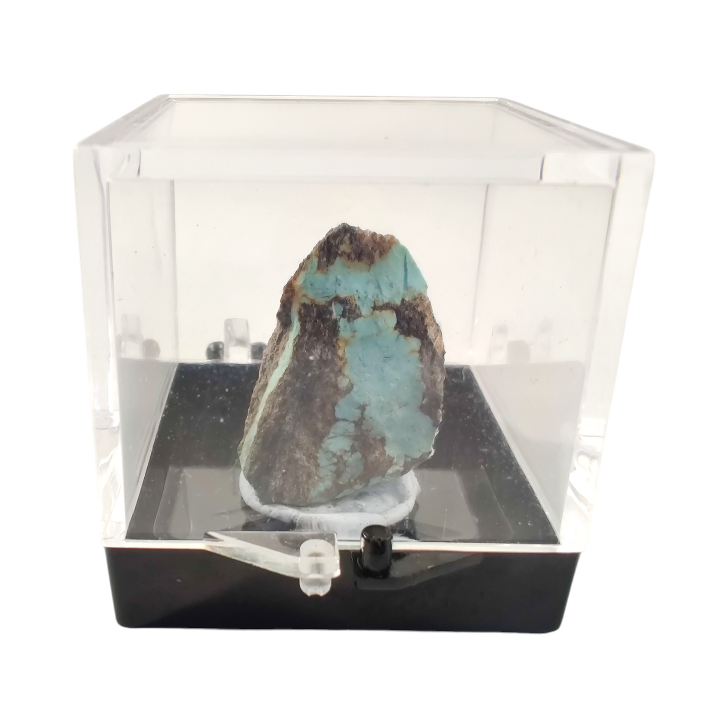 Turquoise specimen terrarium image 2
