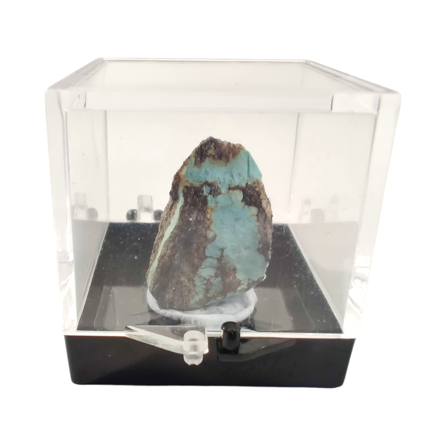 Turquoise specimen terrarium image 2