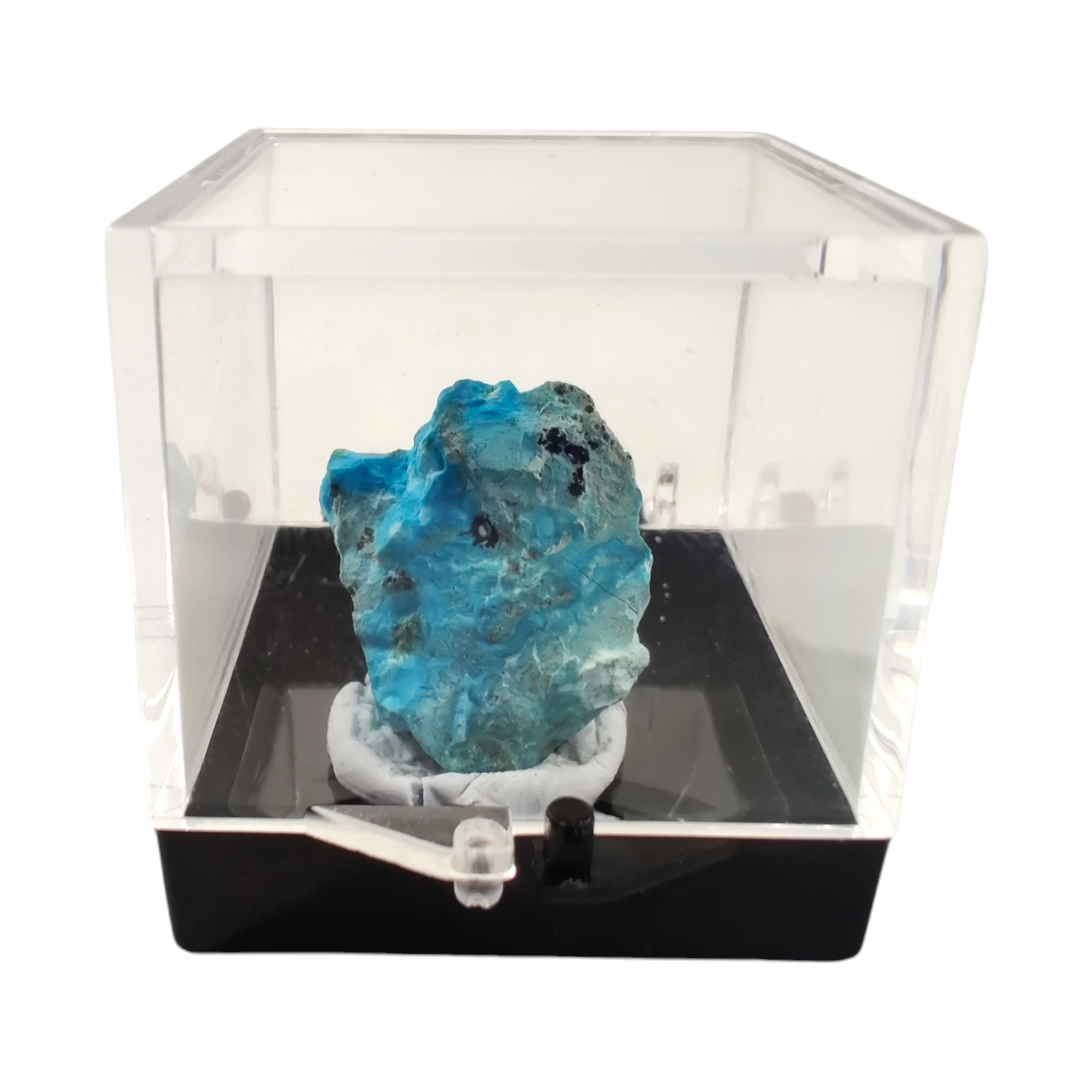 Congo chrysocolla specimen terrarium image 2