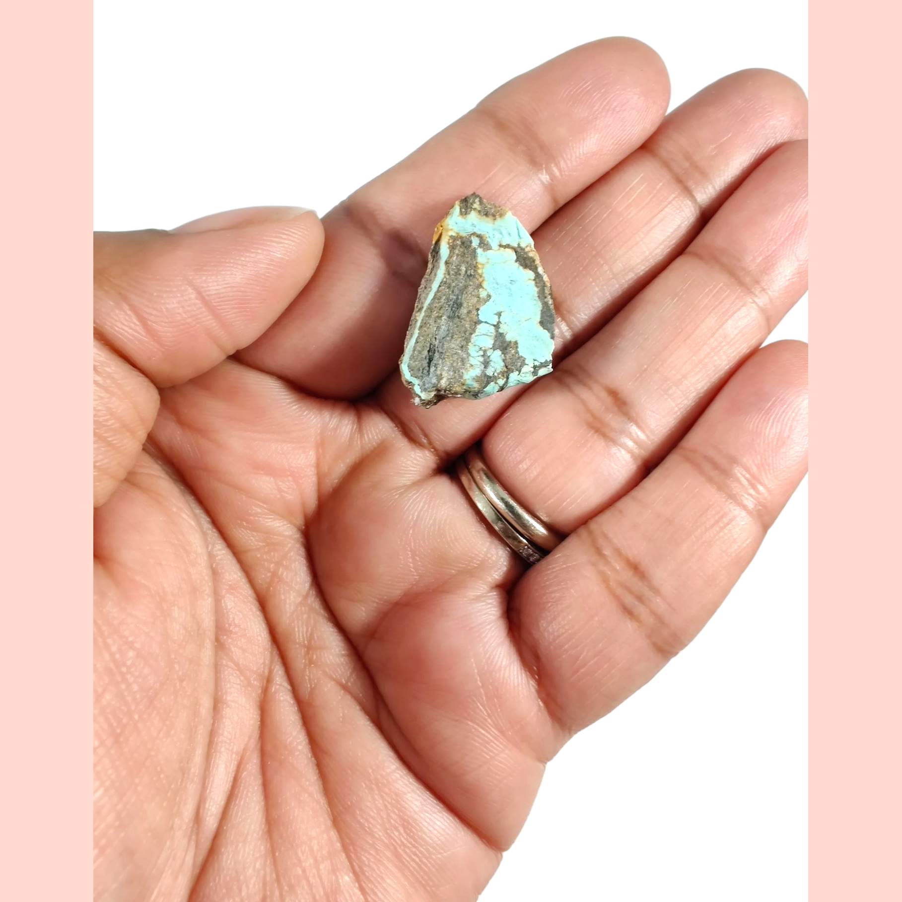 Turquoise specimen terrarium image 1