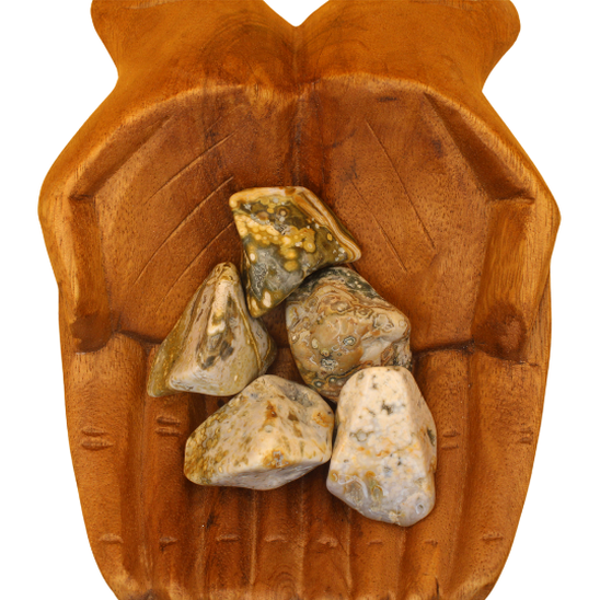 Ocean jasper nugget