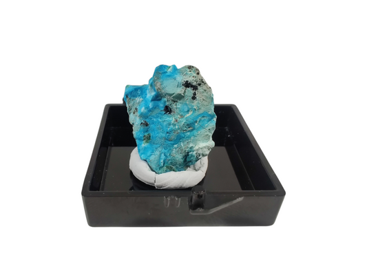 Congo chrysocolla specimen terrarium image 0