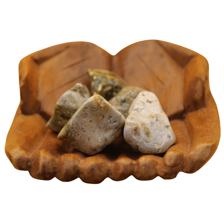 Ocean jasper nugget