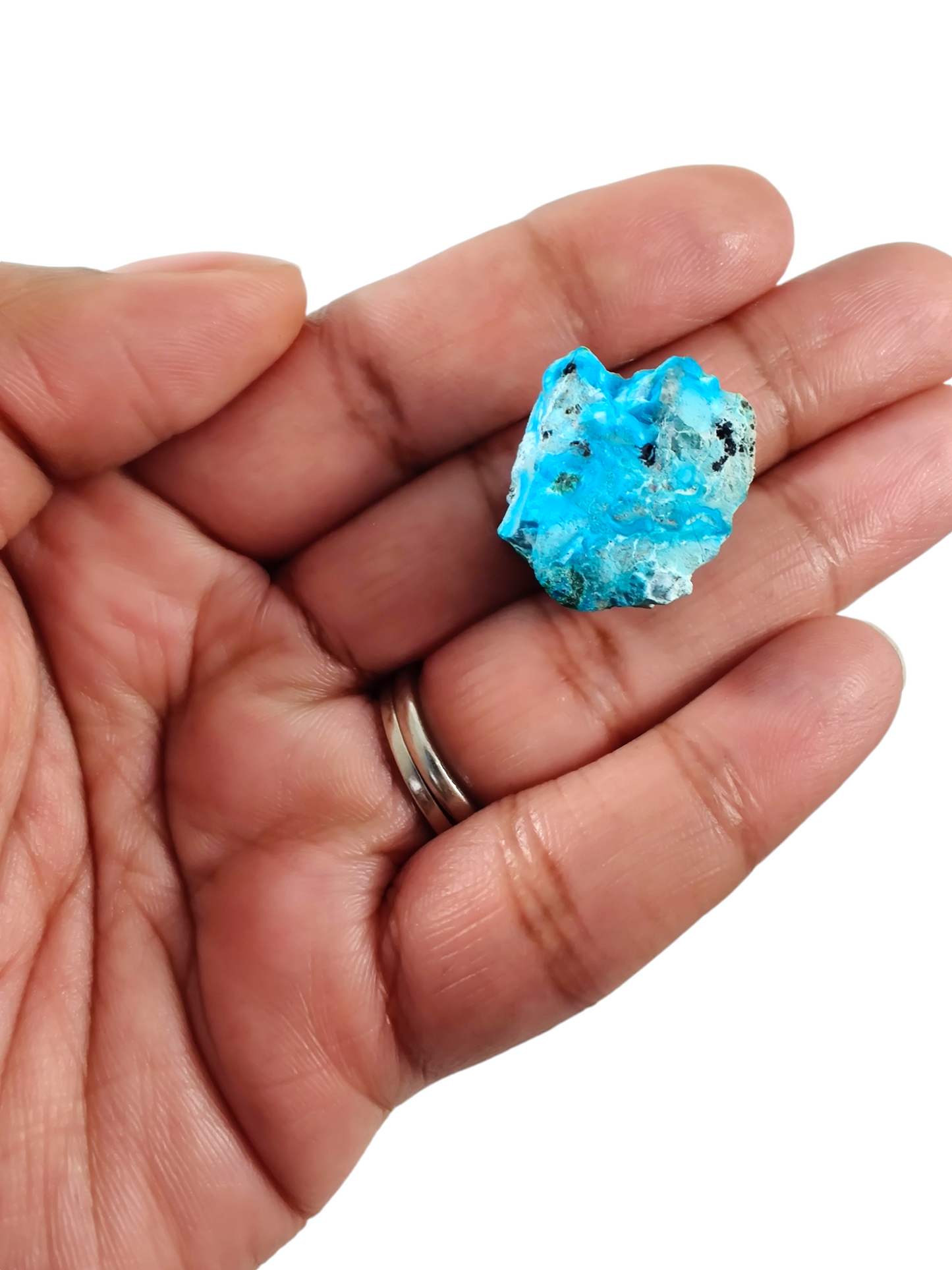 Congo chrysocolla specimen terrarium image 1